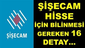 Şişecam Hisse Yorum