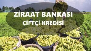 Ziraat Bankası Çiftçi Destek Kredisi