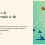 Döviz Yatırımlarında Risk Yönetimi Stratejileri